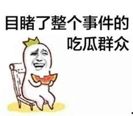 吃瓜群众的平淡生活小说,平淡生活里的吃瓜日常
