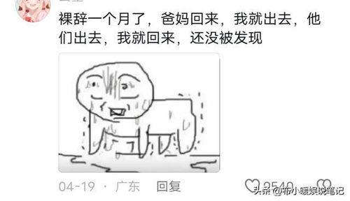 瓜太大敢吃吗,瓜太大，敢吃吗？揭秘超大瓜果的趣味与挑战
