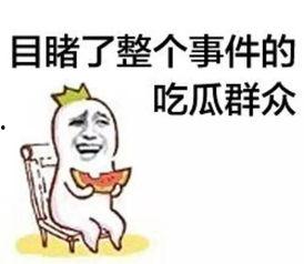 瓜哥带你吃瓜合集p图,一场视觉盛宴的图文回顾