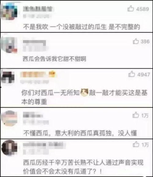 淮工吃瓜,吃瓜群众眼中的校园生活