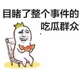 吃瓜群众的危险,揭秘“吃瓜群众”背后的危险与挑战