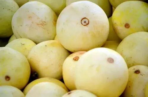 梨次瓜这么吃,解锁美味新境界