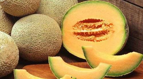 吃哈密瓜有声音,夏日美味新体验