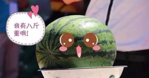 吃瓜 出奖,吃瓜大赛惊喜大奖等你来拿！