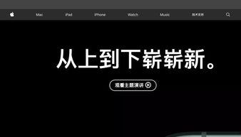 调侃别人吃瓜文案,揭秘那些逗趣的吃瓜文案