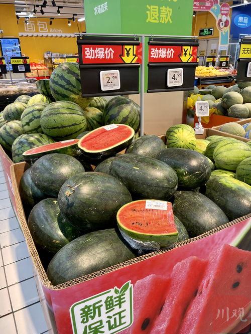 成都辰色吃瓜,揭秘网红吃瓜圣地背后的故事