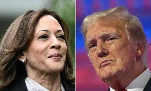 吃瓜哈里斯,网络红人的崛起与影响力