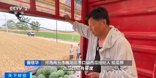 商丘吃瓜小伙直播,揭秘直播界的“瓜王”传奇