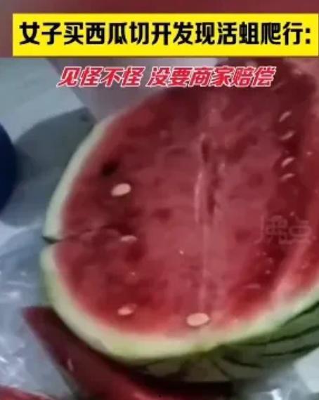 蛆吃瓜吗,揭秘它们对瓜果的偏好与习性