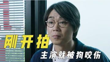 娱乐吃瓜君121期,揭秘娱乐圈最新热点,带你领略明星幕后故事