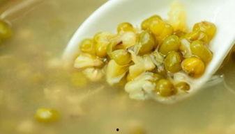 吃瓜吃绿豆汤视频下载,热门视频下载攻略